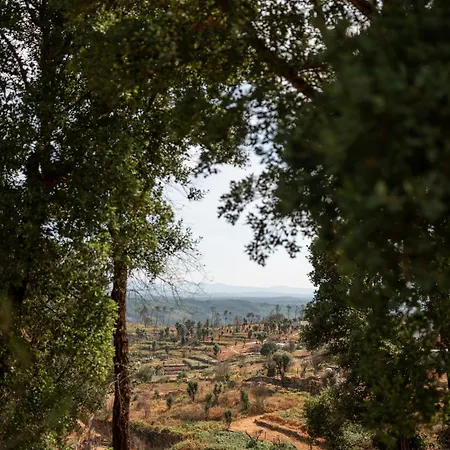 Oakstone Hills Hotel