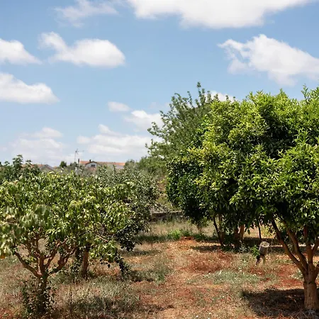 Ξενοδοχείο Oakstone Hills