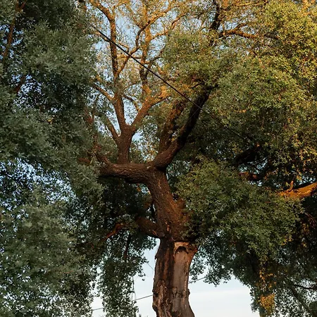 Hotel Oakstone Hills