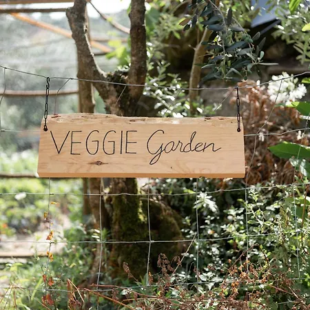 Hotel Oakstone Hills *