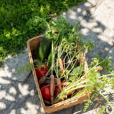 Oakstone Hills * Nelas