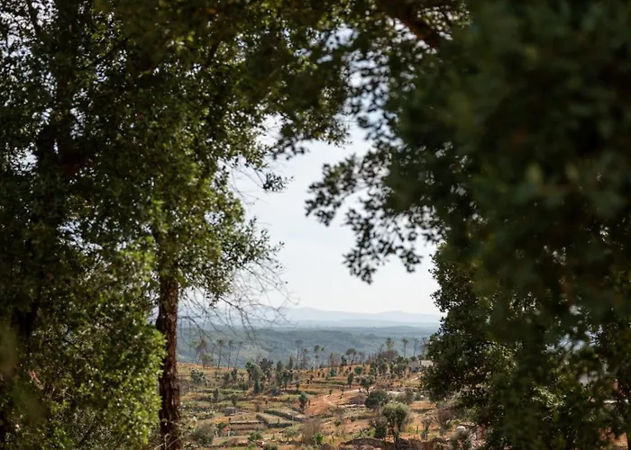 Oakstone Hills מלון