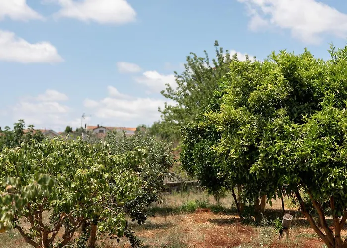 Hotel Oakstone Hills