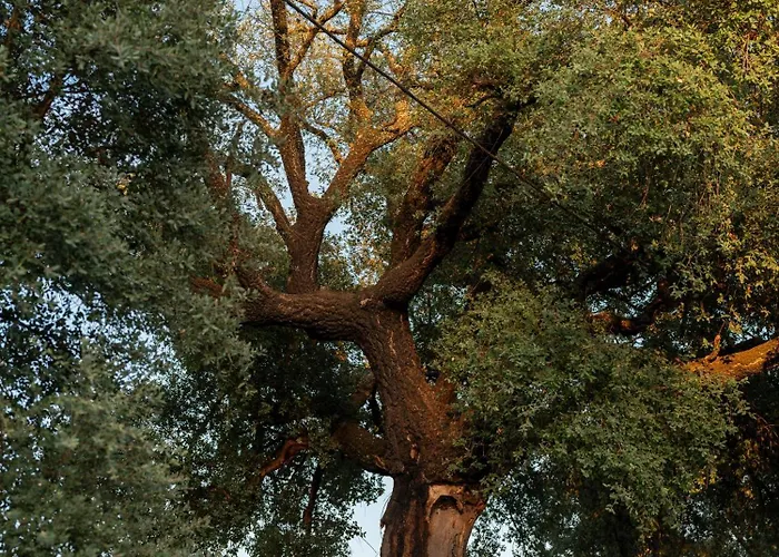 מלון Oakstone Hills