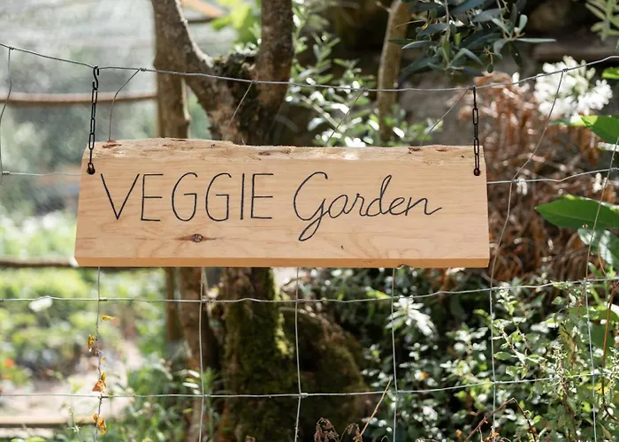 Hotel Oakstone Hills *