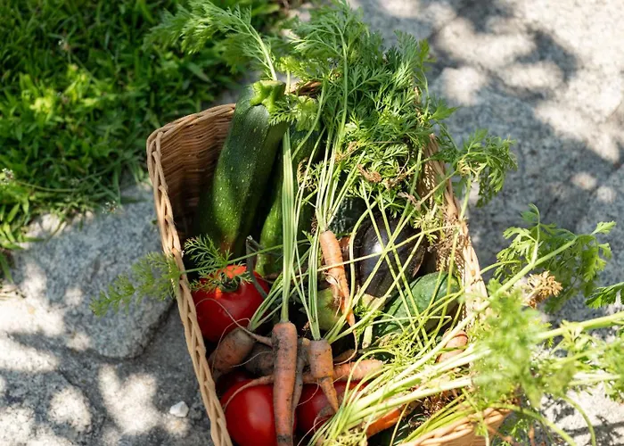 Oakstone Hills * נלאס